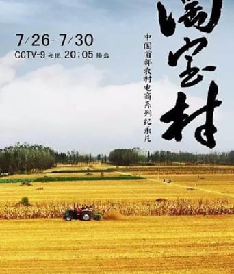 <b><font color='#FF0000'>淘宝村</font></b>