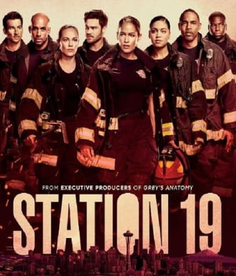 <b><font color='#FF0000'>19号消防局 第三季</font></b>