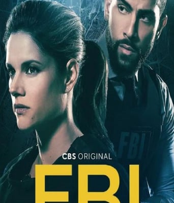 <b><font color='#FF0000'>联邦调查局 第四季</font></b>