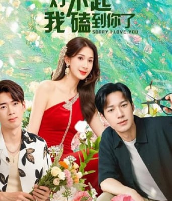 <b><font color='#FF0000'>对不起，我磕到你了</font></b>