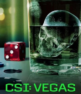 <b><font color='#FF0000'>犯罪现场调查：维加斯</font></b>