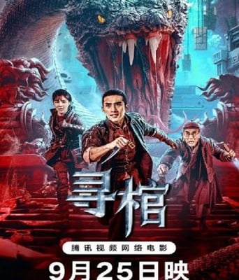 <b><font color='#FF0000'>寻棺</font></b>