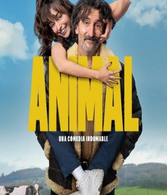 <b><font color='#FF0000'>老派新兽医</font></b>