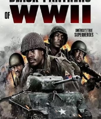 <b><font color='#FF0000'>二战黑豹</font></b>