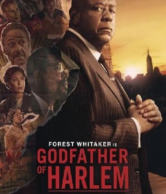 <b><font color='#FF0000'>哈林教父 第三季</font></b>