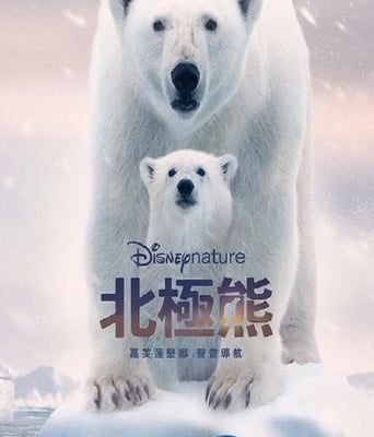 <b><font color='#FF0000'>北极熊</font></b>