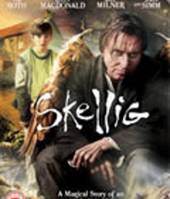 史凯力[DVD中字]