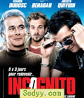 隐姓埋名[DVD中字]