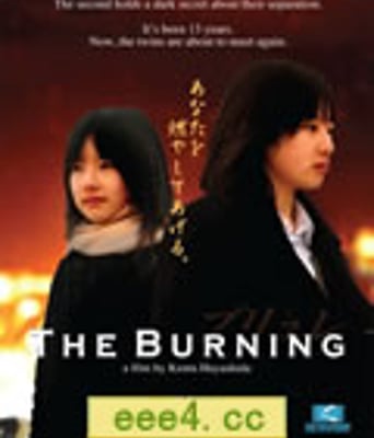 燃烧/燃爱[DVD中英双字